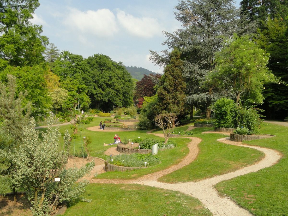 Botanischer Garten Freiburg Tierparadies Garten